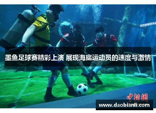 墨鱼足球赛精彩上演 展现海底运动员的速度与激情