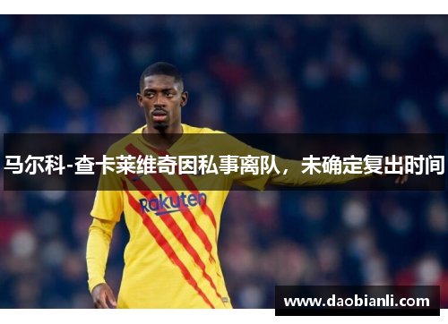 马尔科-查卡莱维奇因私事离队，未确定复出时间